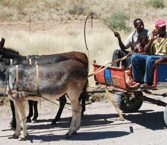 Emigración rural a estambul Emigración rural